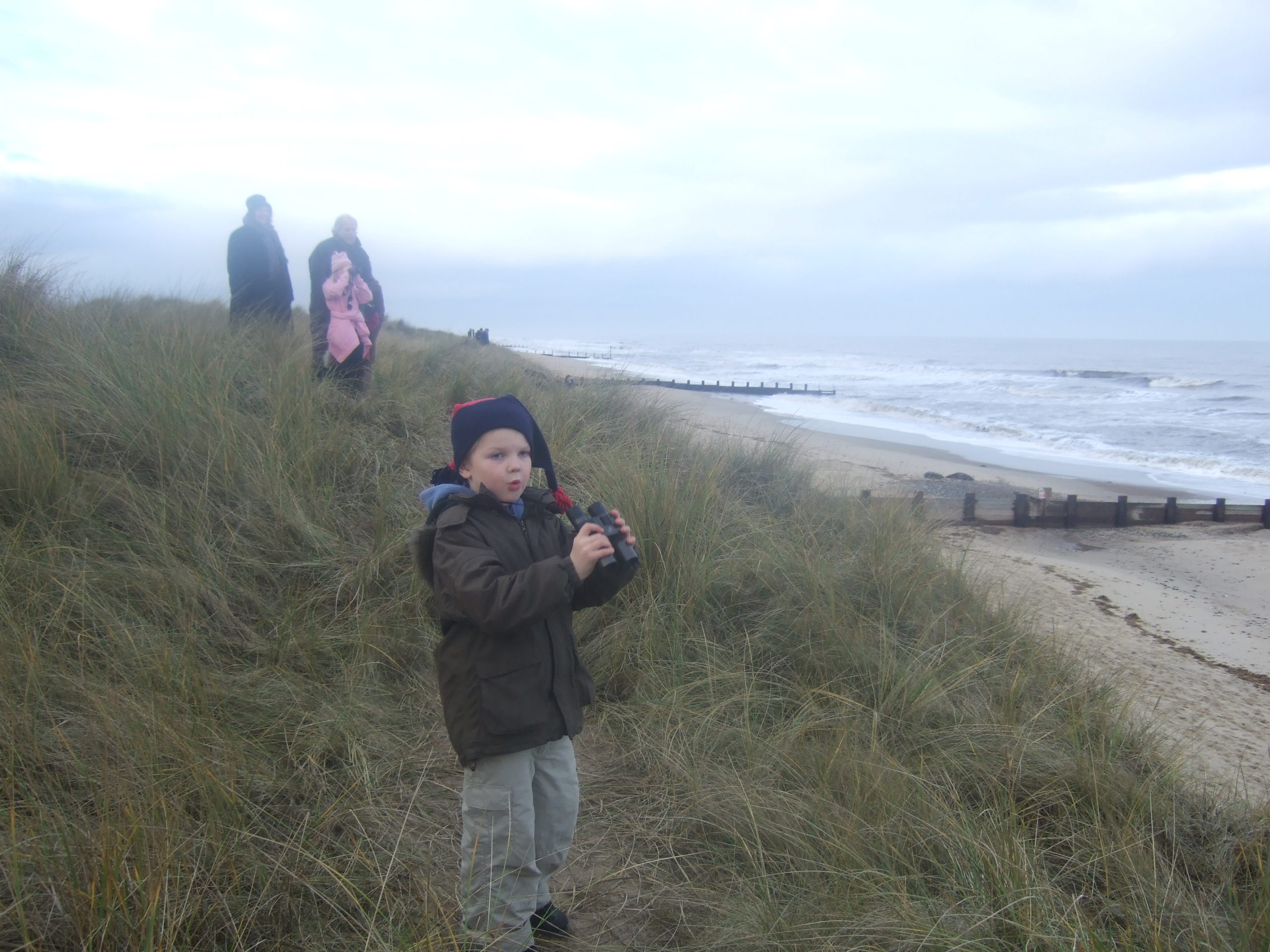 searching for Seals in Norfolk