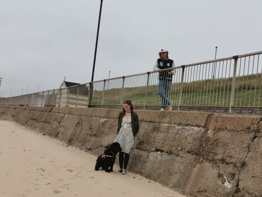 are dogs allowed at any yarmouth beaches