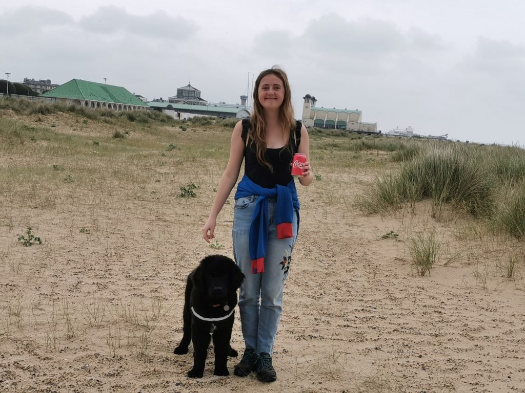 Norfolk dog friendly beaches - Great Yarmouth Beach