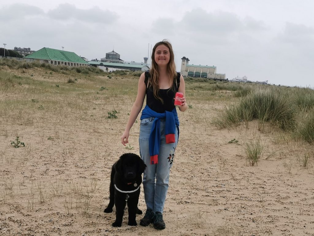 is great yarmouth beach dog friendly