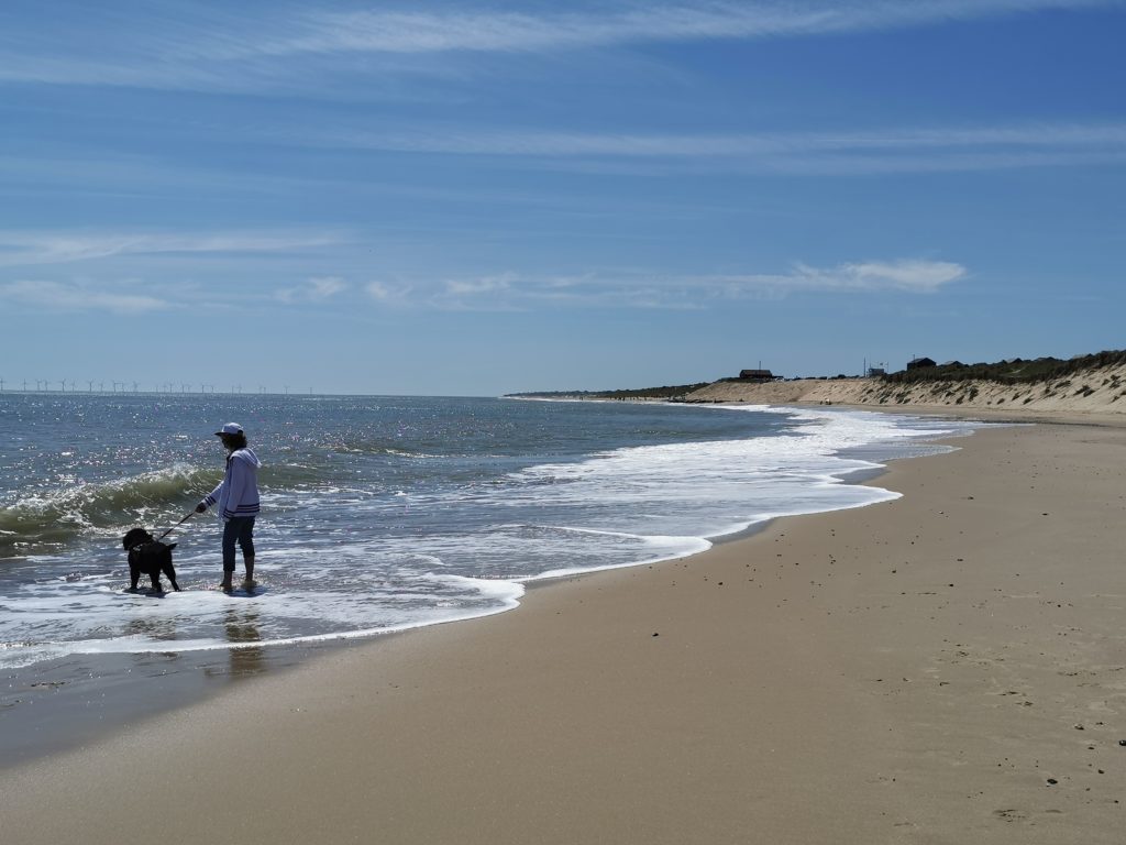 is caister beach dog friendly