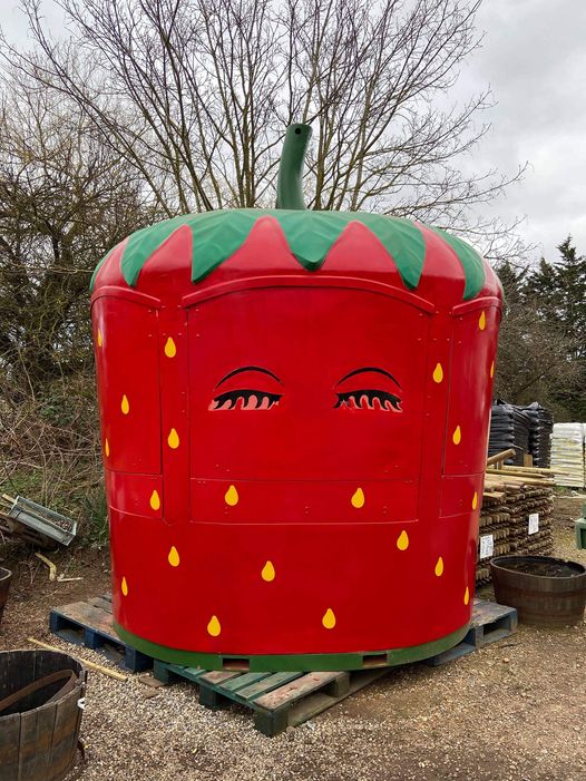 Strawberry Picking in Norfolk - Hillfields Nurseries