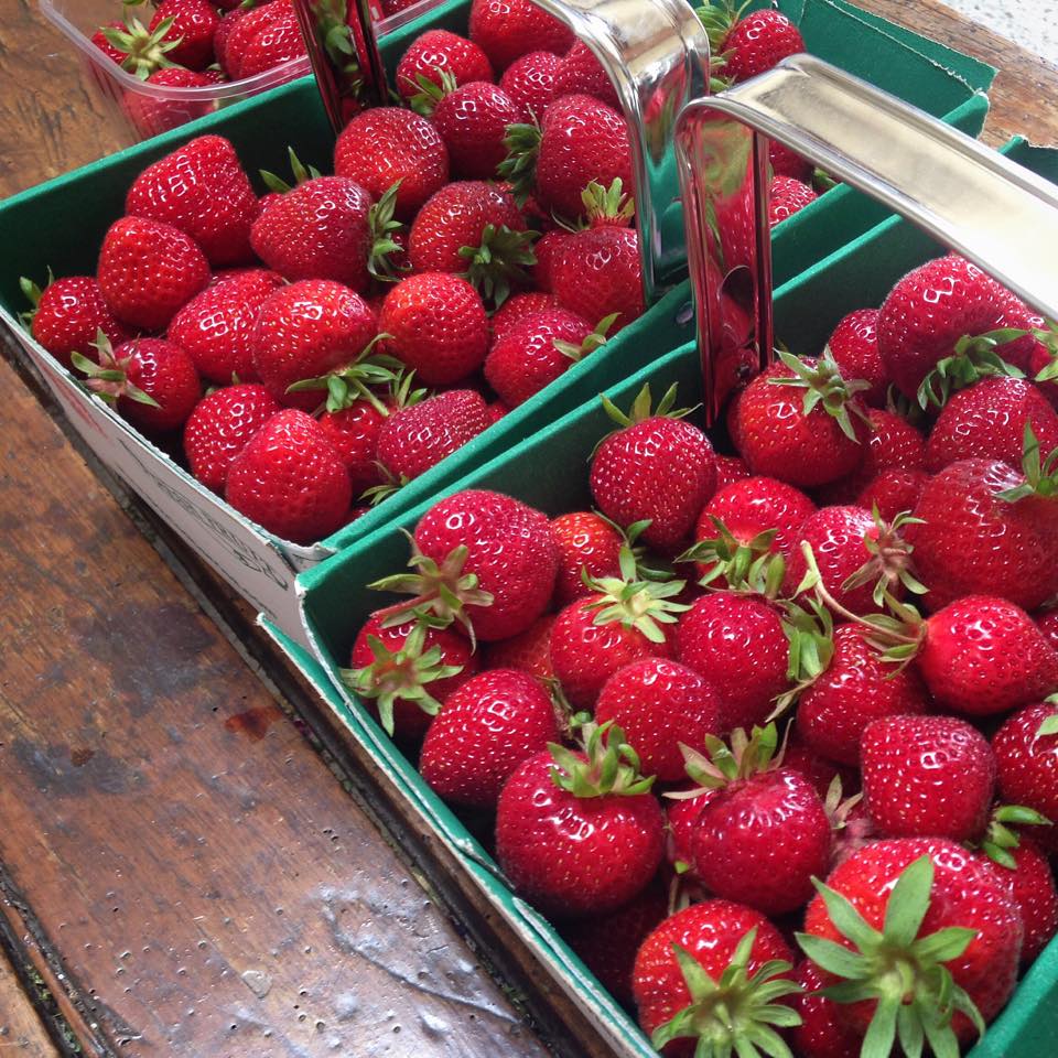 Strawberry picking in Essex - McLauchlans of Boxted Fruit Farm