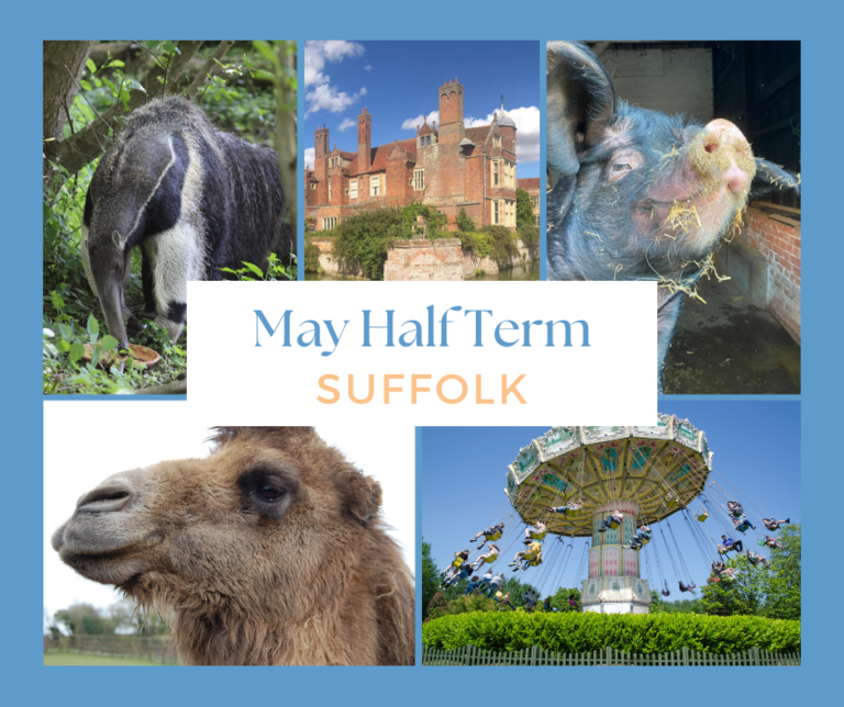 May half Term Activities in Suffolk 2024