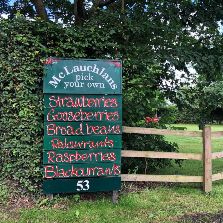 Best Farm Shops Essex Has To Offer 2024