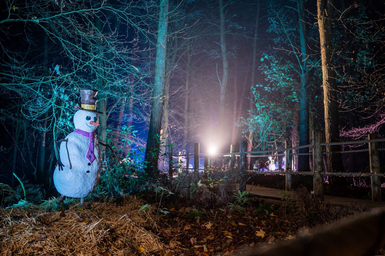 Christmas Lights Near Me in East Anglia 2024