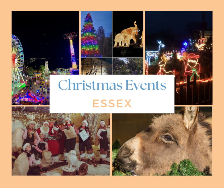 Best Essex Christmas Events To Visit in 2024