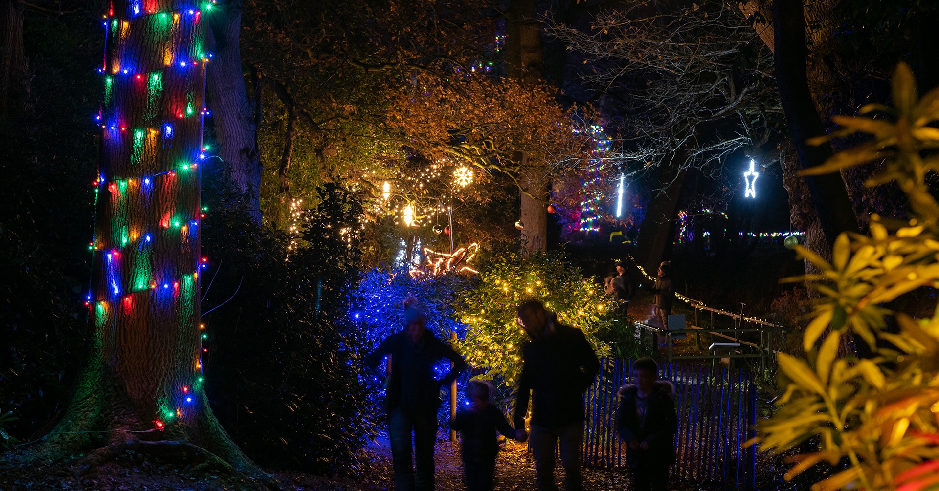 Christmas Lights Near Me in East Anglia 2024