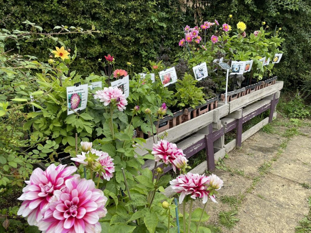 garden centres in suffolk